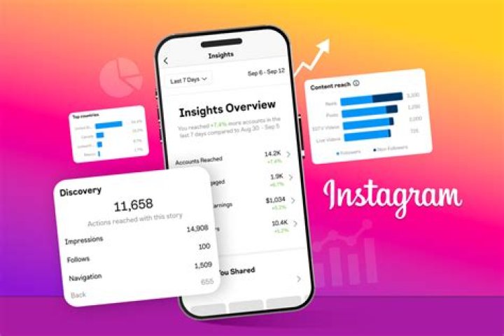 Discoveries And Insights For Instagram Success