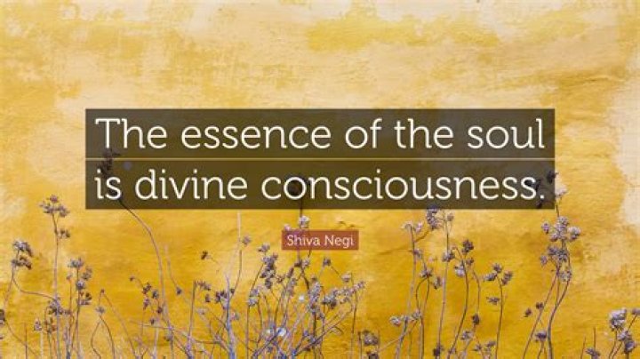 Unveiling The Essence Of A Remarkable Soul